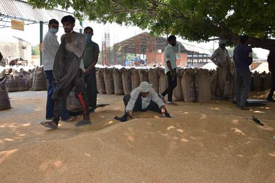 Apna Sambhal Mandi Samiti