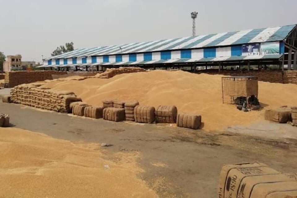 Apna Sambhal Mandi Samiti