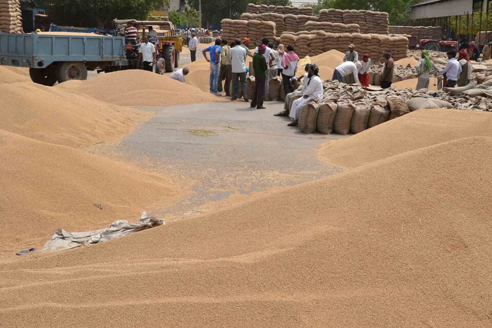 Apna Sambhal Mandi Samiti